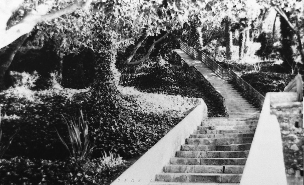 ORAN 02517.jpg